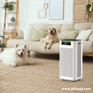 Canadian Wildfires Impacting US Air Quality: How Jafända Air Purifiers Help Improve Indoor Air Quality