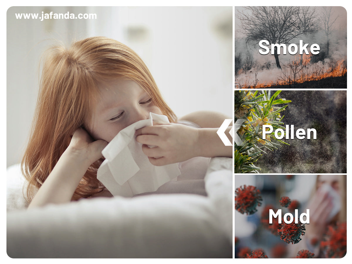 Air quality decline? Don’t worry! Our air purifier eliminates harmful substances in your home