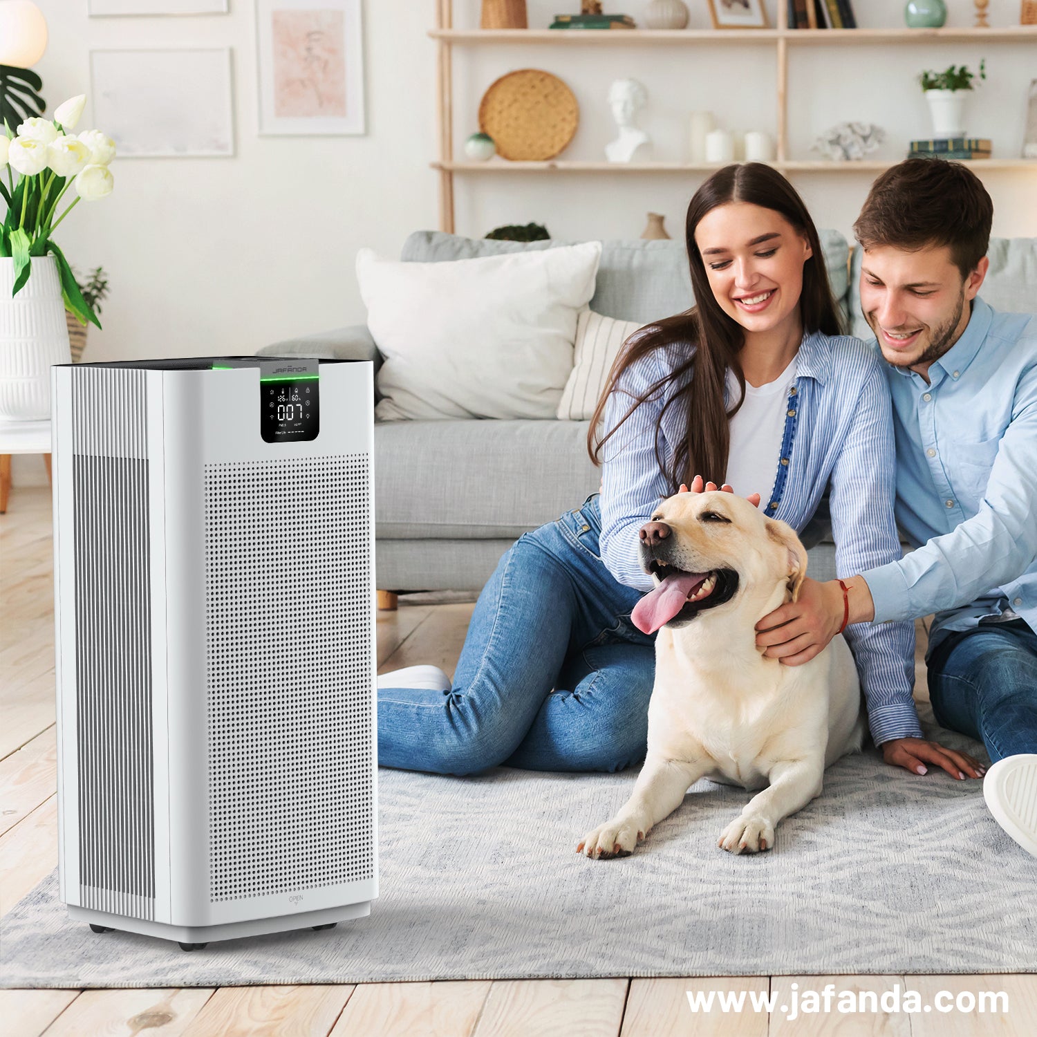 How to choose an air purifier suitable for pets during wildfire smoke pollution?